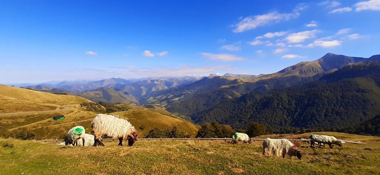 Tente Safari Lodge Ferme Carrique Tardets-Sorholus Εξωτερικό φωτογραφία