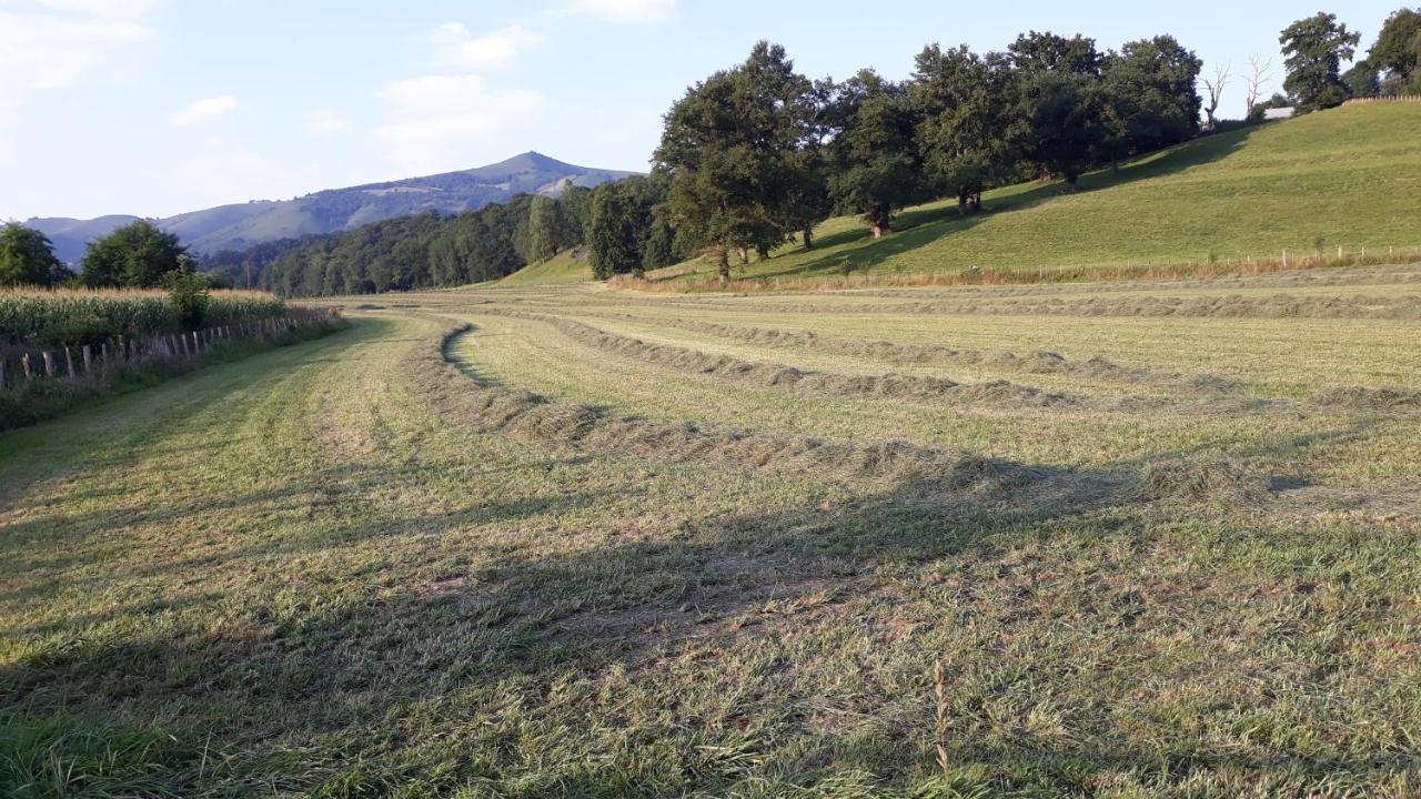 Tente Safari Lodge Ferme Carrique Tardets-Sorholus Εξωτερικό φωτογραφία