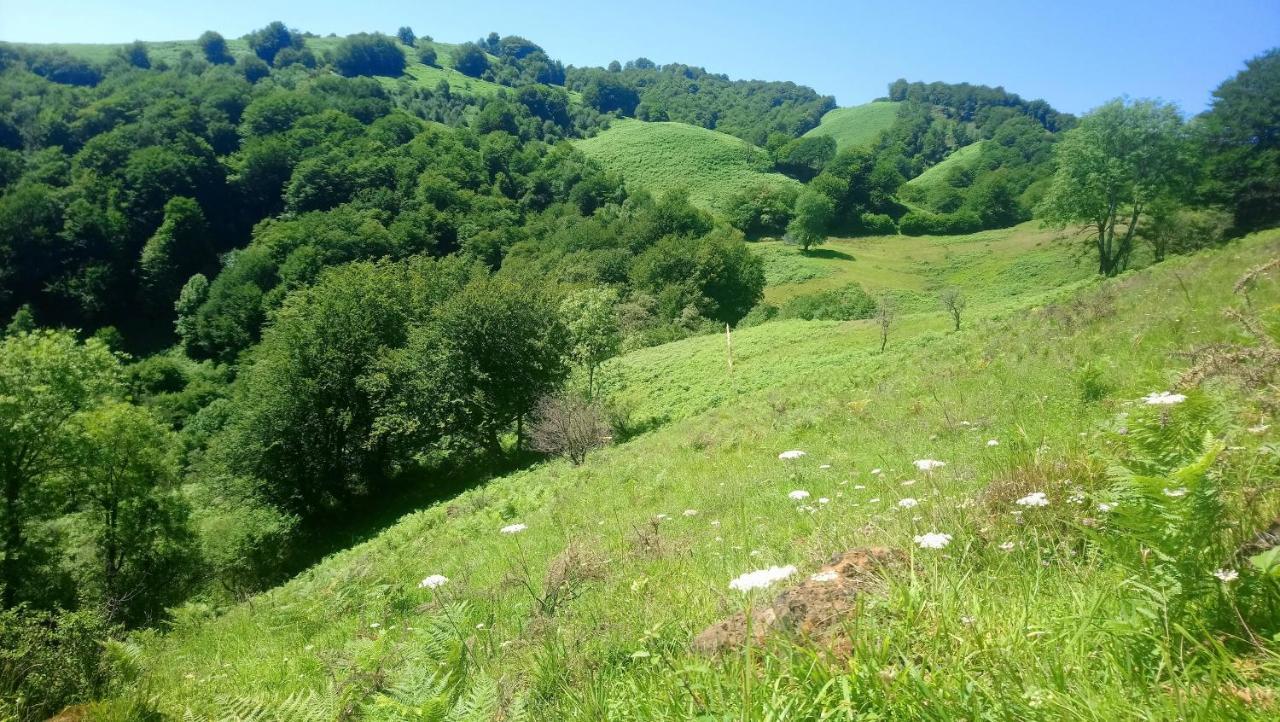 Tente Safari Lodge Ferme Carrique Tardets-Sorholus Εξωτερικό φωτογραφία